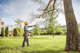Best Weed Control  in Commerce, GA