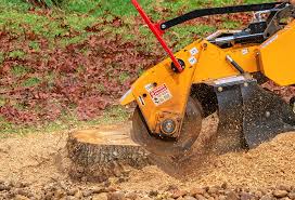  Commerce, GA Tree Care Pros