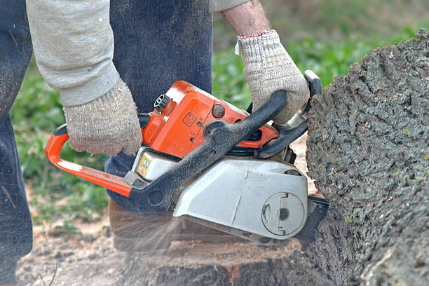 Best Lawn Mowing  in Commerce, GA